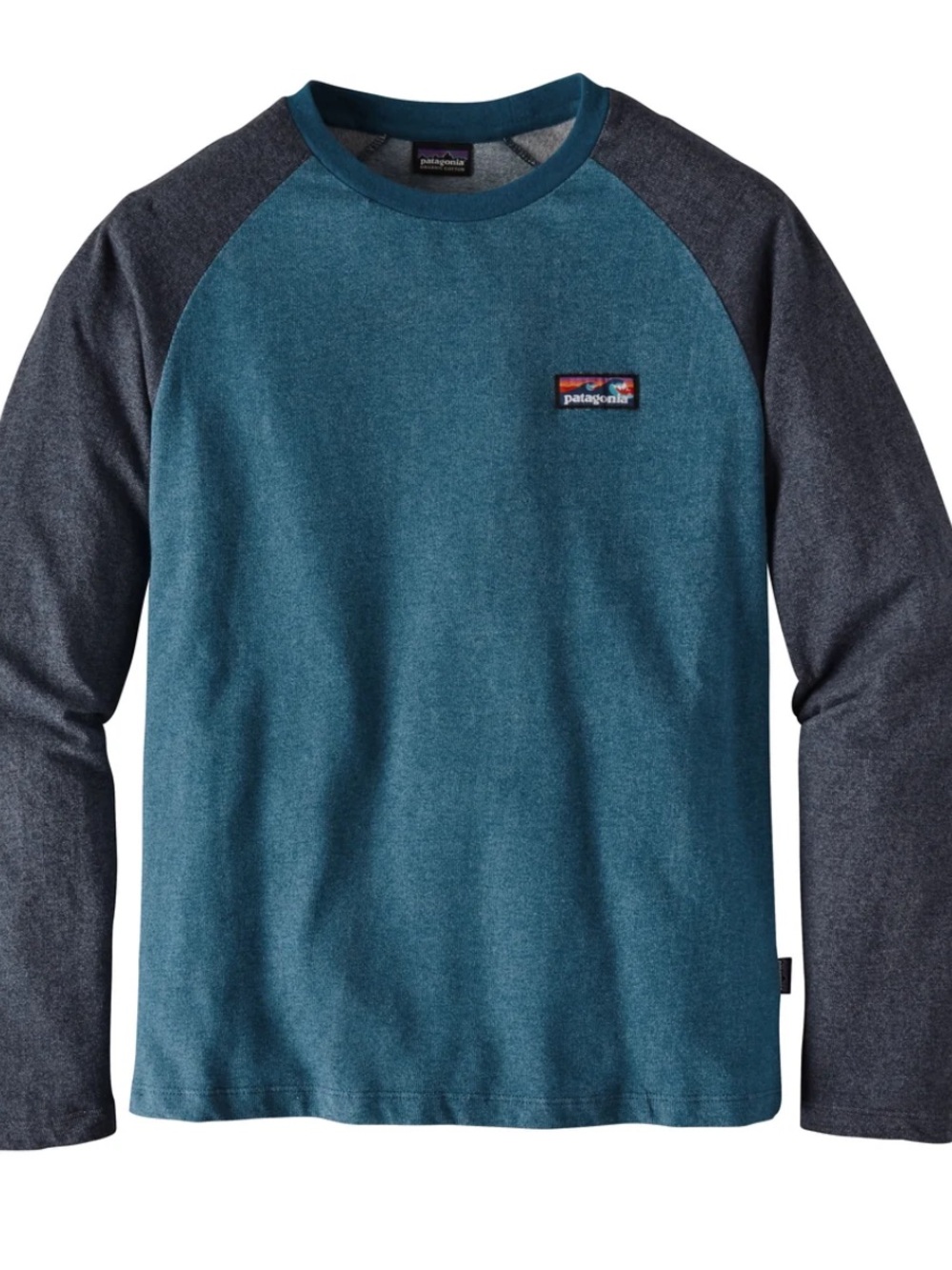 Patagonia Worn Wear Board Short Label Lightweight Crew Sweatshirt